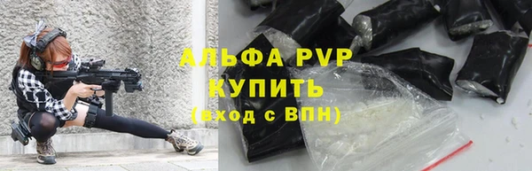соль ск Нея