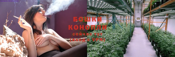 соль ск Нея