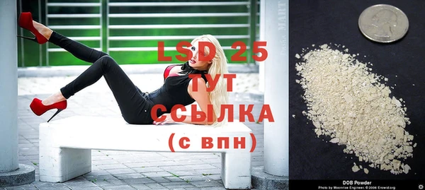 соль ск Нея